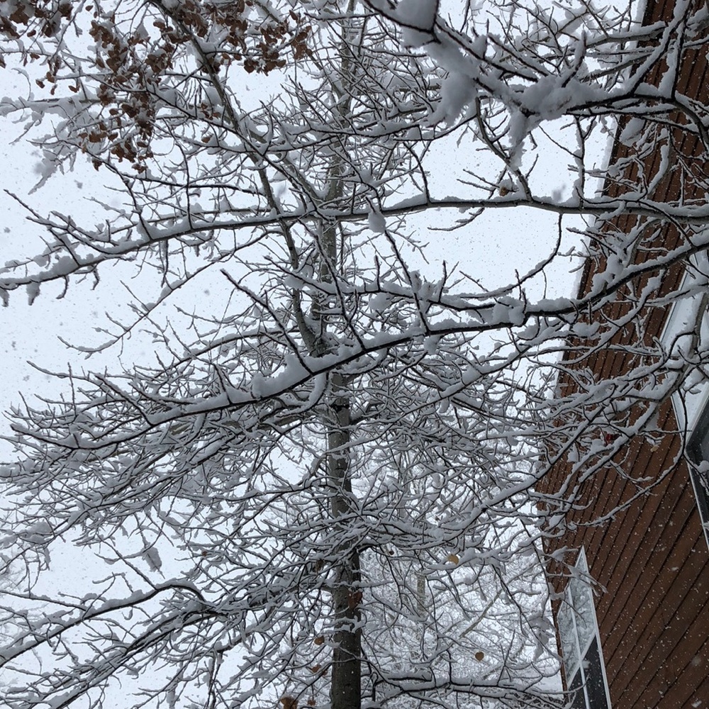 Meet your Posher, Katharine